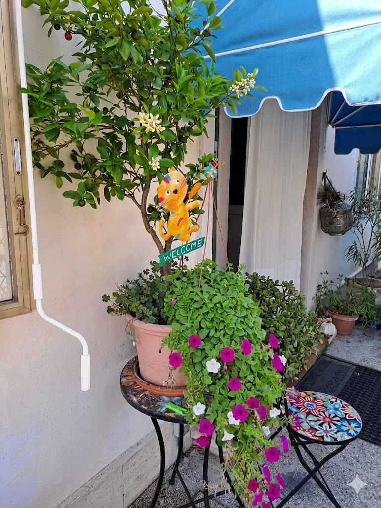 bnb chez elisabet spazio verde giardino padova