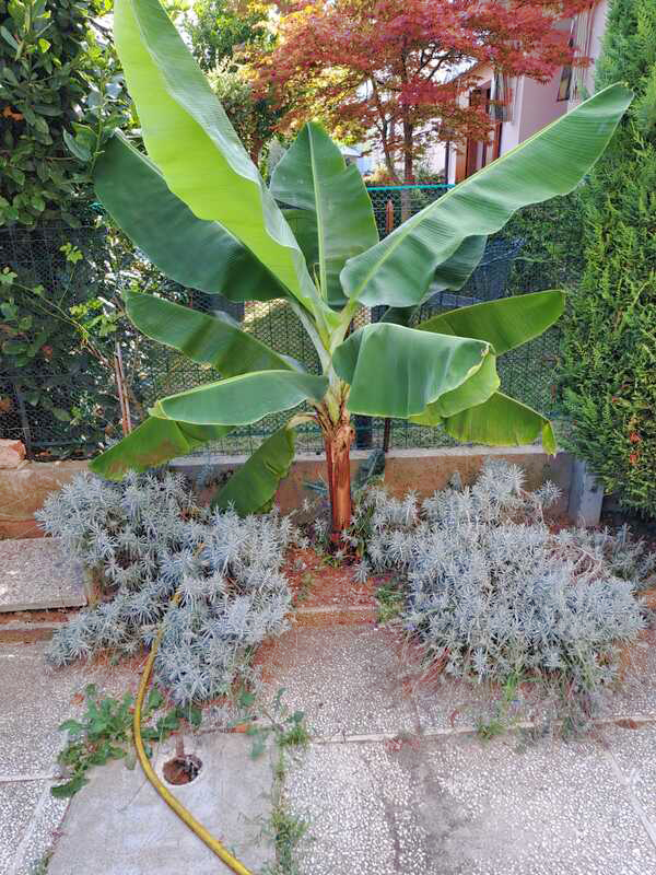 giardino bnb chez elisabeth 3